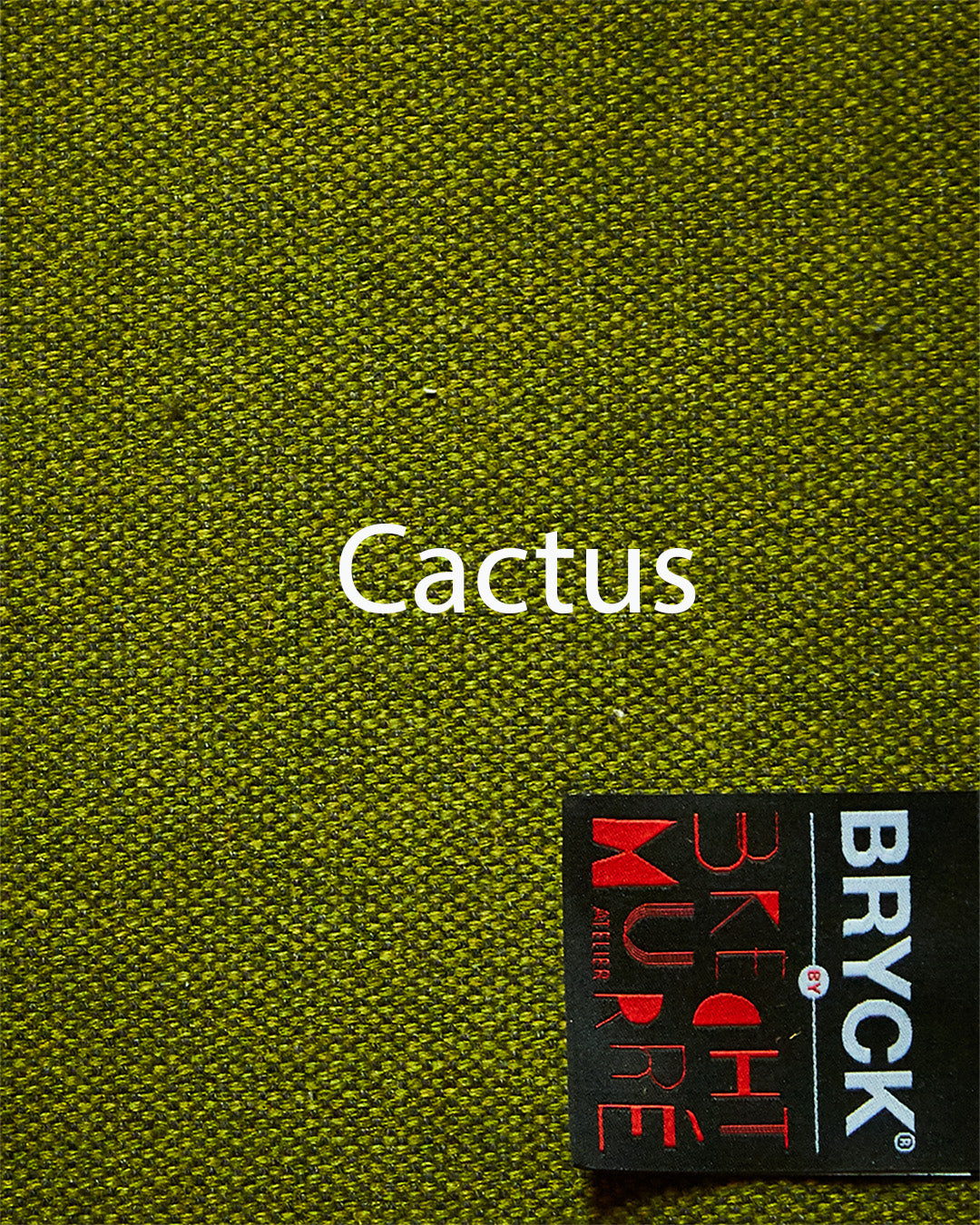 BRYCK Chair free Cactus